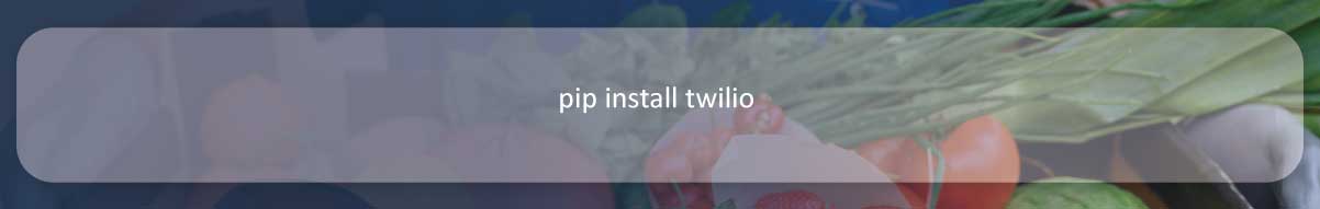 installed-just-using-pip.jpg